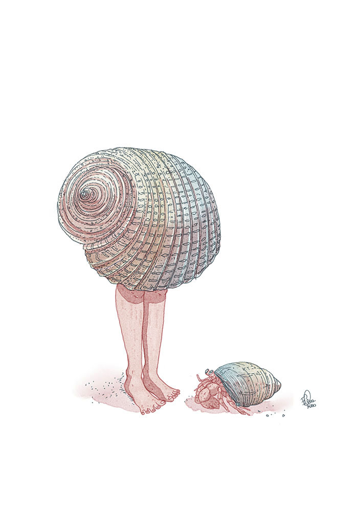 Same skin, same shell